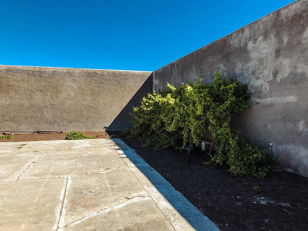 Nelson Mandela's garden where he hid the notes that would become his autobiography