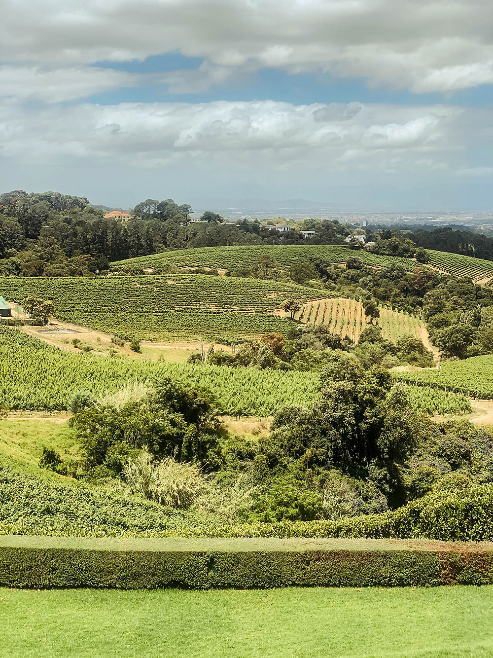 Constantia - Cape Town wine country 15 minutes from downtown!
