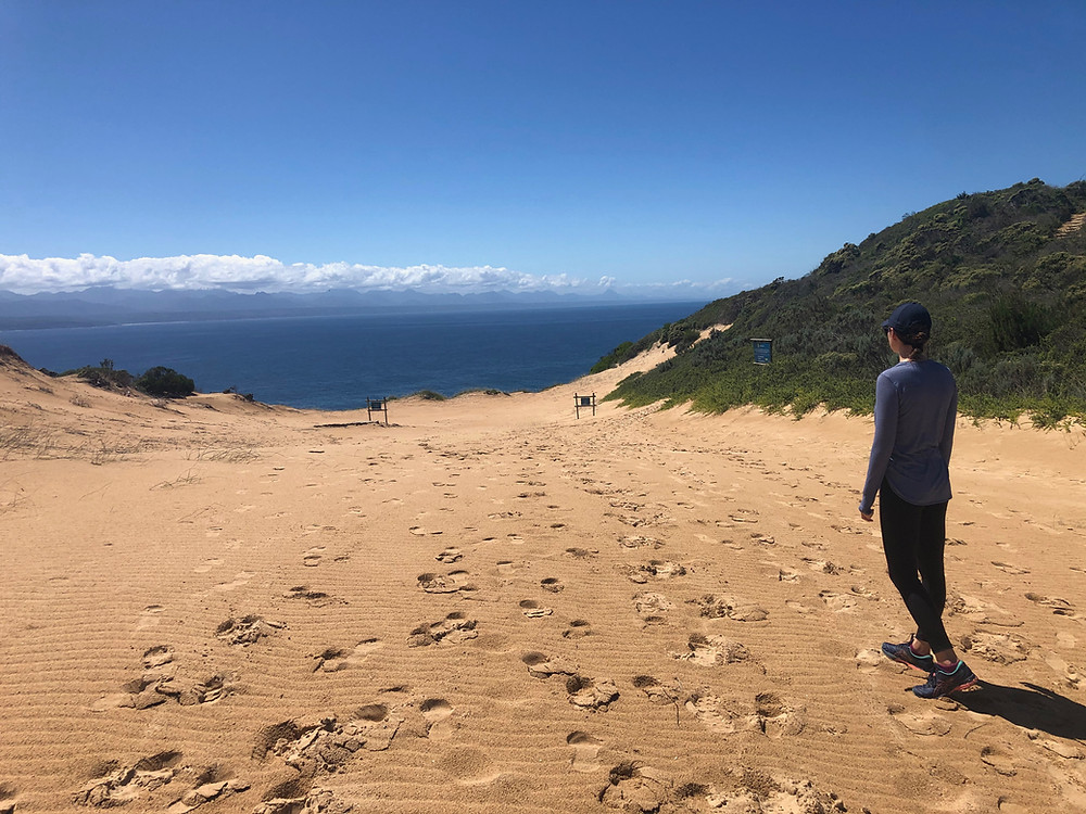 The towering sand dune at the neck of the Robberg Peninsula