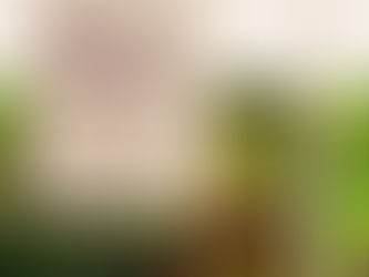 Top 5 Sonoma County Wineries