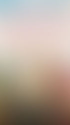 The Ballad of Wallis Island (2025)