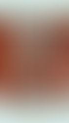 Dead Man's Wire (2026)