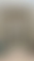 The Trial of the Chicago 7 (2020)