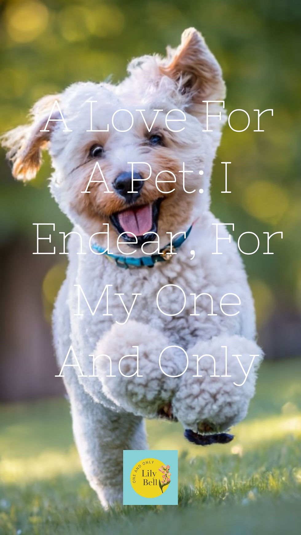 pinterest graphic with text A love for pet