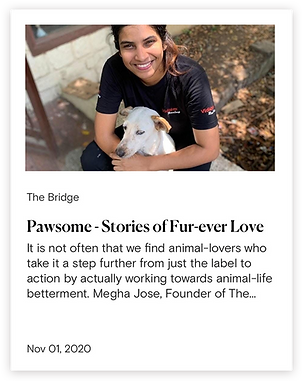 Bridge 02 Article.png