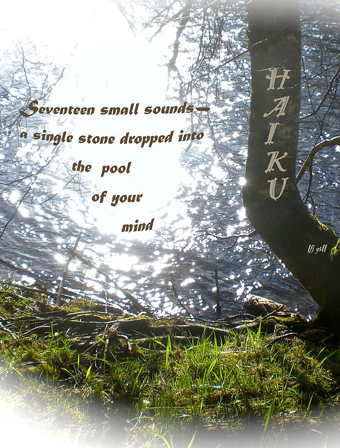 Seventeen small sounds cropt 12-30-20.jp