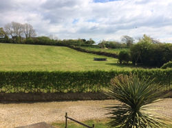 Picture of play area