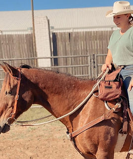 Screenshot 2025-01-08 152312_edited_edit