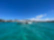 IMG_0052.jpeg
