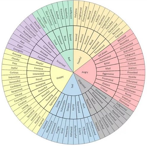 emotions wheel.PNG