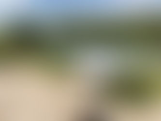 Самый живописный фон для фотографирования!