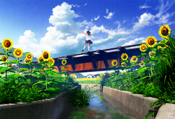 夏