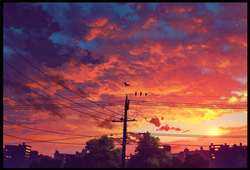 00029.png