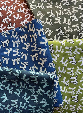 Squiggle Main Picture.jpg