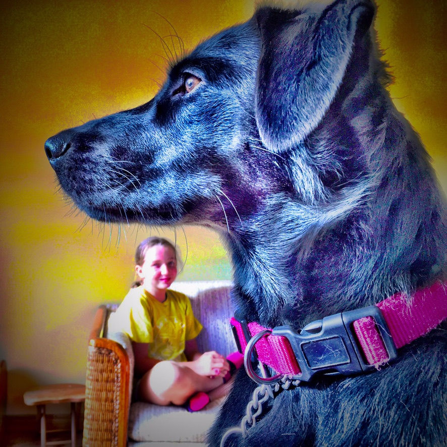 2DCCD55A-87FF-4541-815A-E26B30346C63_1_105_c.jpeg