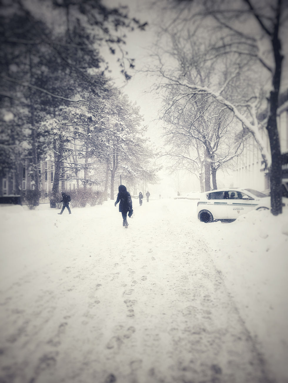 IMG_2015.jpeg
