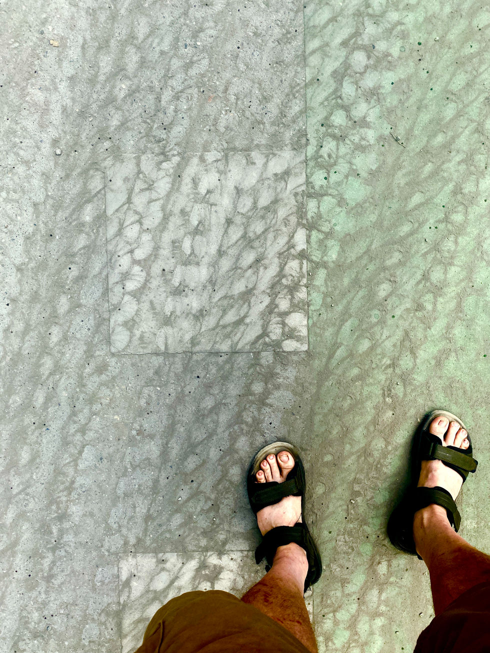IMG_8090.jpeg