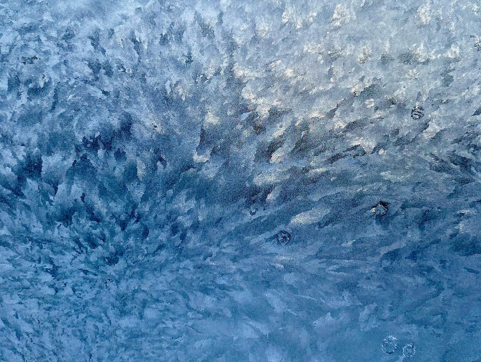 CA4946E8-68CC-49A1-9571-5F244716D1A0.jpeg