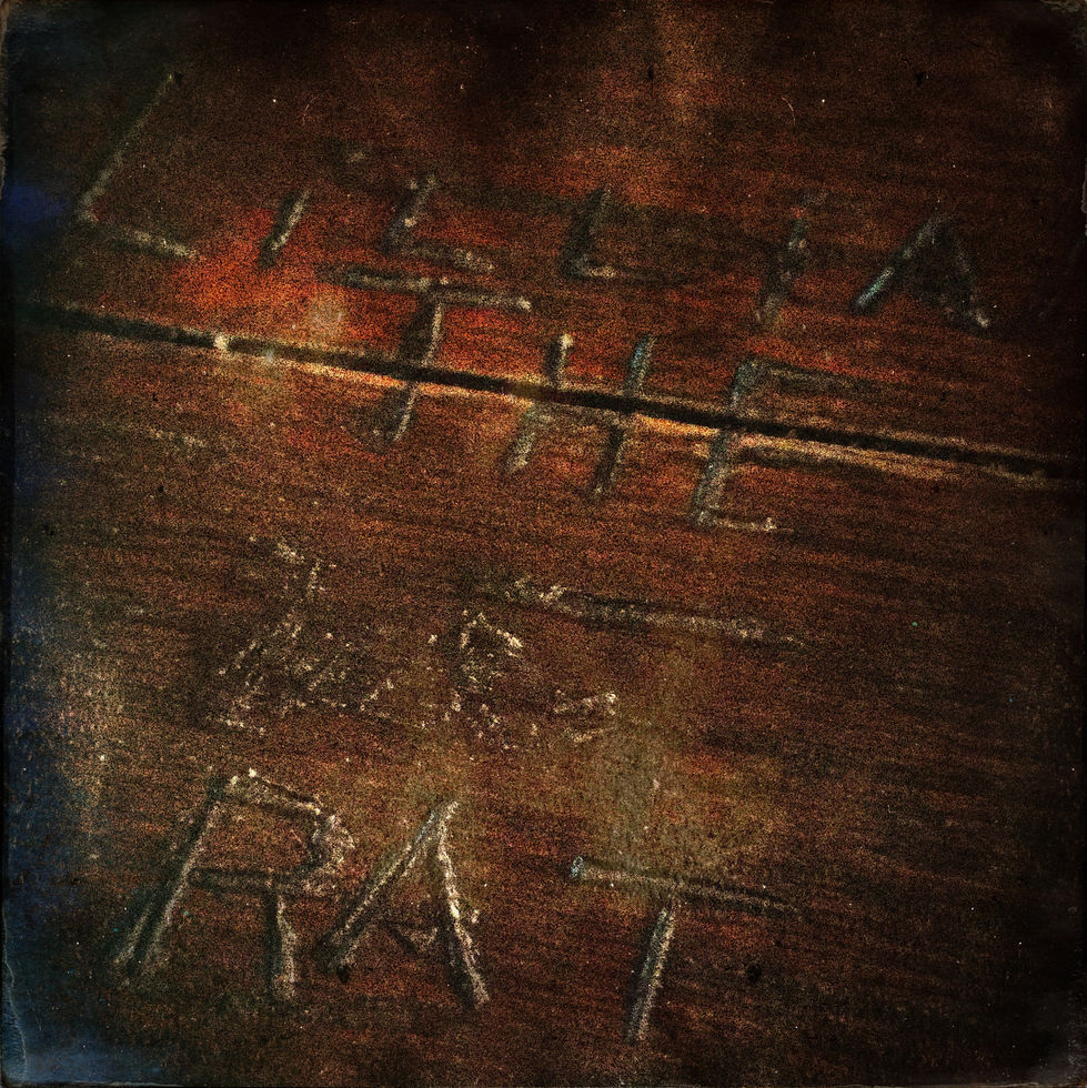 HipstamaticPhoto-476335559.435682.jpeg