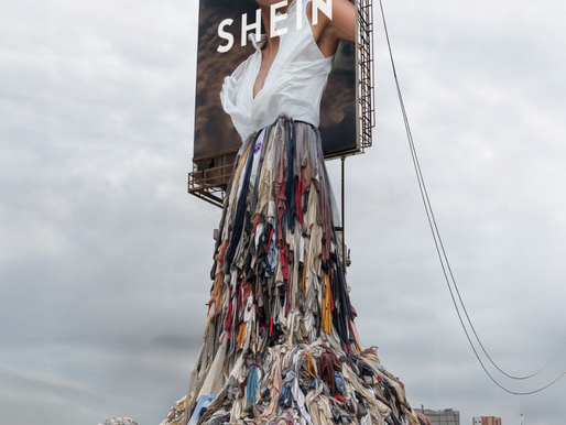 An Empire Built on Waste