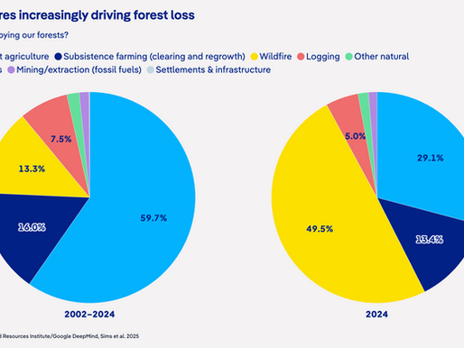 Disastrous forest news, investments in renewables, and ag impacts of climate change