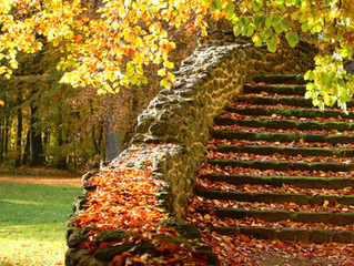 Remembering Loved Ones: Legacy Without Children or Grandchildren