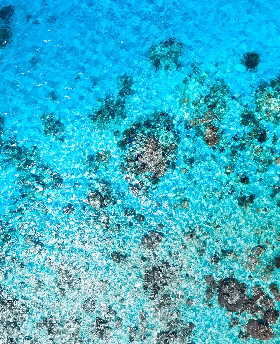 Belize Barrier Reef drone near All-Inclusive Private Island Thatch Caye.webp