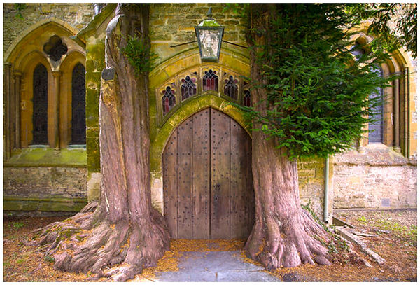 Temple doors tree.jpg