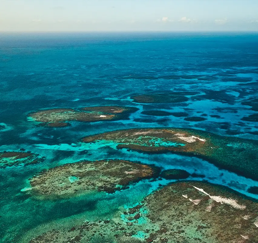 Belize Barrier Reef drone Private Island Belize Thatch Caye.webp