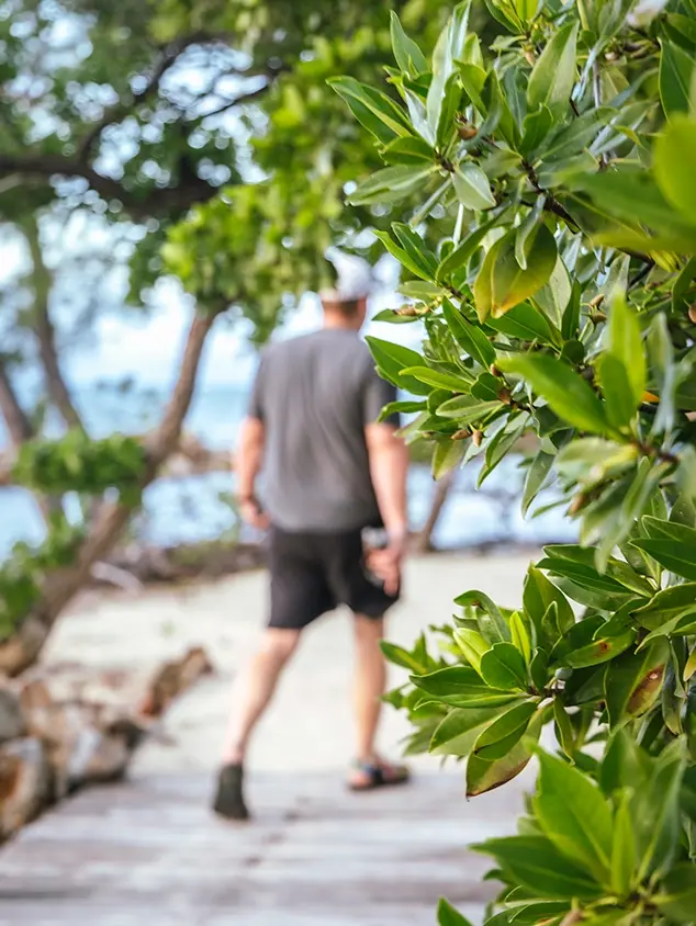 Walking Private Island Belize Thatch Caye.webp