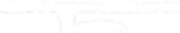 辻村ともこのこれから実現したいこと11の政策へ.png