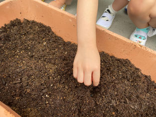 とうきょうすくわくプログラム事業☆3歳児 うさぎ組 NO.3
