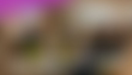 【3/13(水)】店舗経営者向けのイベント開催!