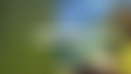 Googleがスマホ向けサイトの点数を知らせてくれるツールを公開