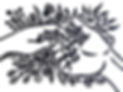 B50D19F9-E04A-4218-B90C-6DF9E8D49640_edited.jpg