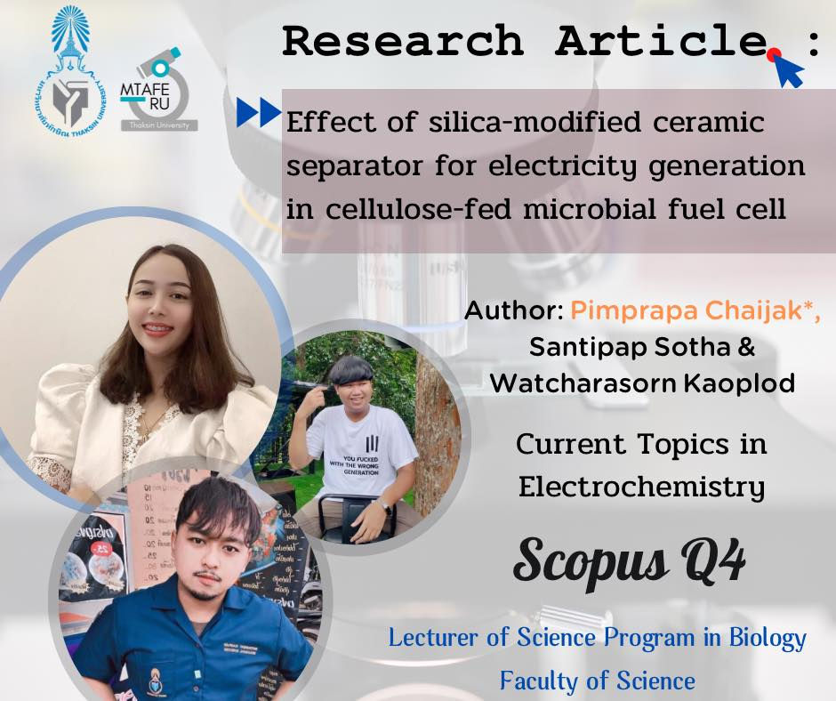 Effect of silica-modified ceramic separator for electricity