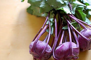 Delicacy Purple Kohlrabi