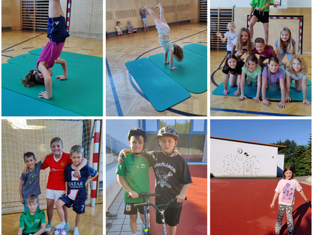 Talente- und Haustiertag