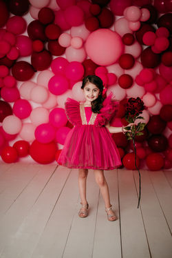 Fushcia / Gold Toddler Dress