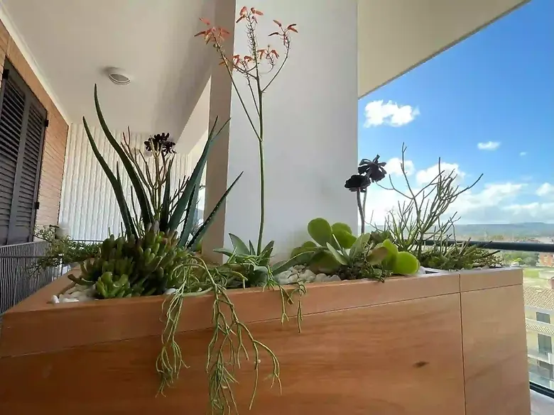 Green-design-terrazza-sicilia (7) (1).webp