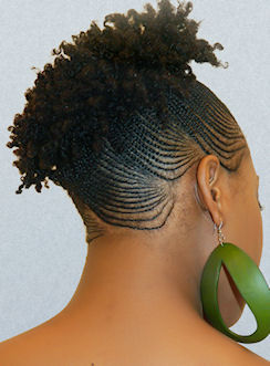 Corn Rows