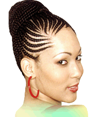 Corn Rows