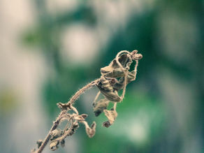 Feeling Stuck in Life? 5 Signs Your Energy is Stagnant