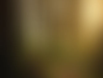 Pachamama Healing: Golden Light Transformation