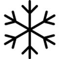 icons8-winter-100_edited.jpg