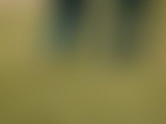 Grounding Techniques That Don't Require Meditation
