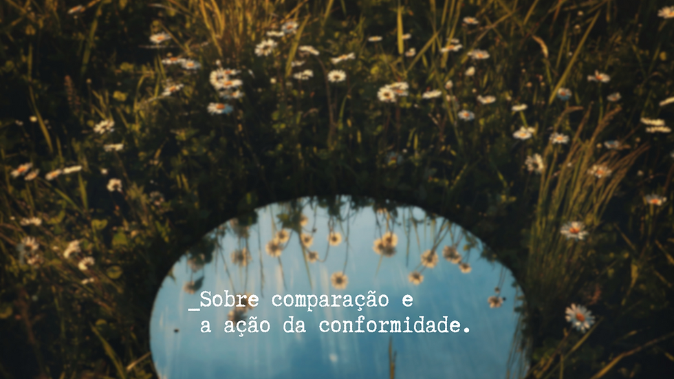 blog-dri-ferreira-sobre-comparacao-e-a-acao-da-conformidade