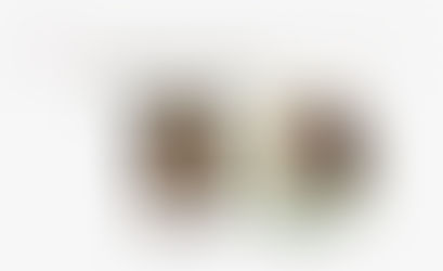 Resenha do Livro: Hamnet, de Maggie O’Farrell