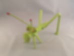 Small Grasshopper