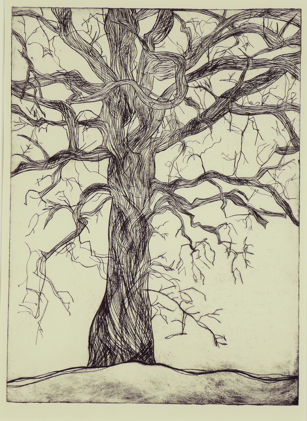 Iowa Mennonite School Tree III